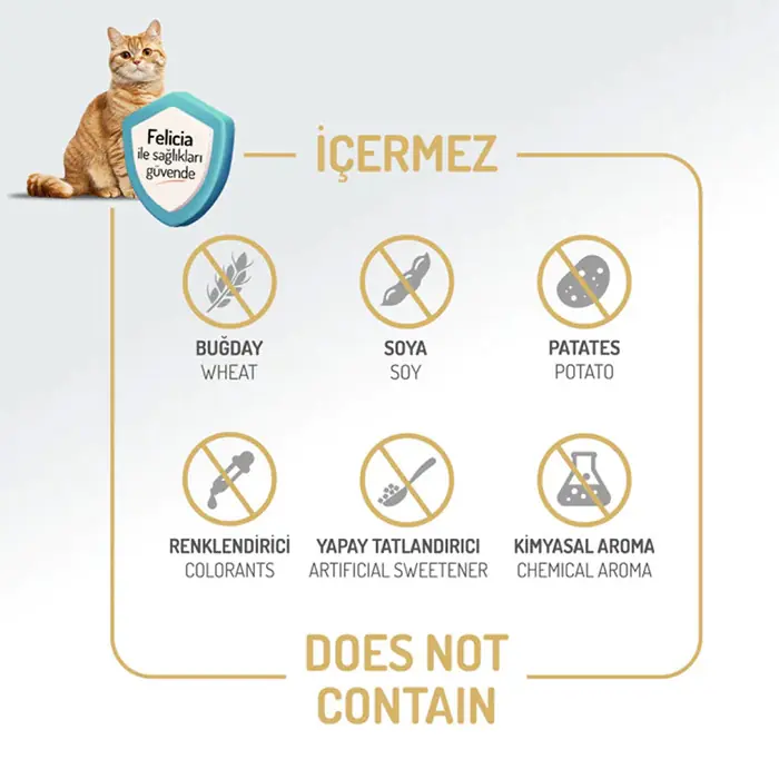 Felicia Kolajenli Somonlu Az Tahıllı Kısırlaştırılmış Hypoallergenic Kedi Maması 5 Kg
