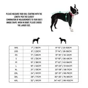 GF PET Chalet Köpek Süveteri 7