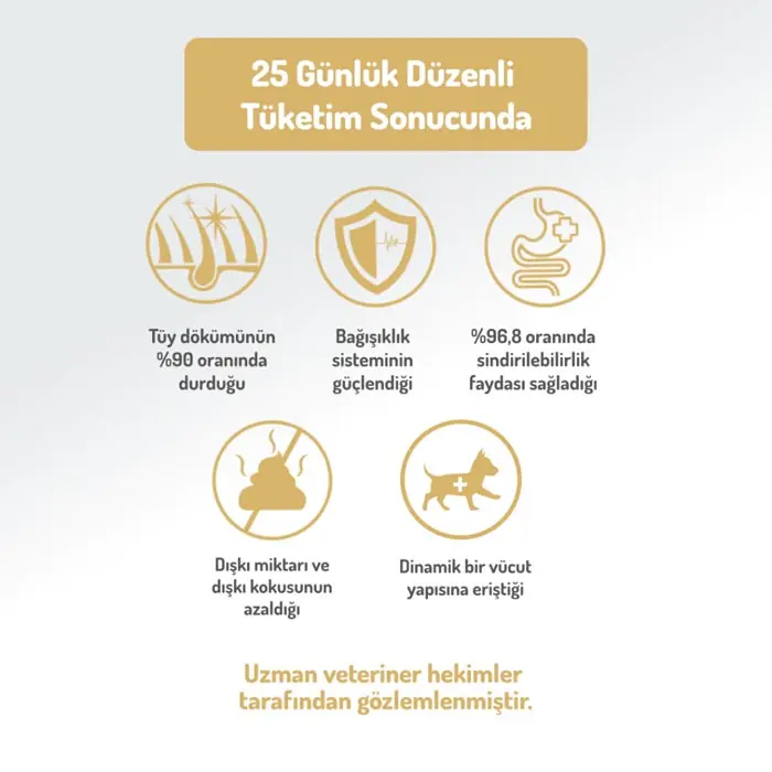 Felicia Az Tahıllı Yetişkin Somonlu Medium Large Breed HypoAllergenic Köpek Maması 3 Kg