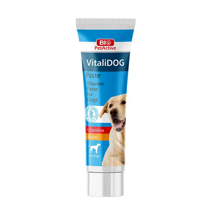 Pet Active Vitalidog Paste Yetişkin Köpekler için Vitamin Macun 100ml