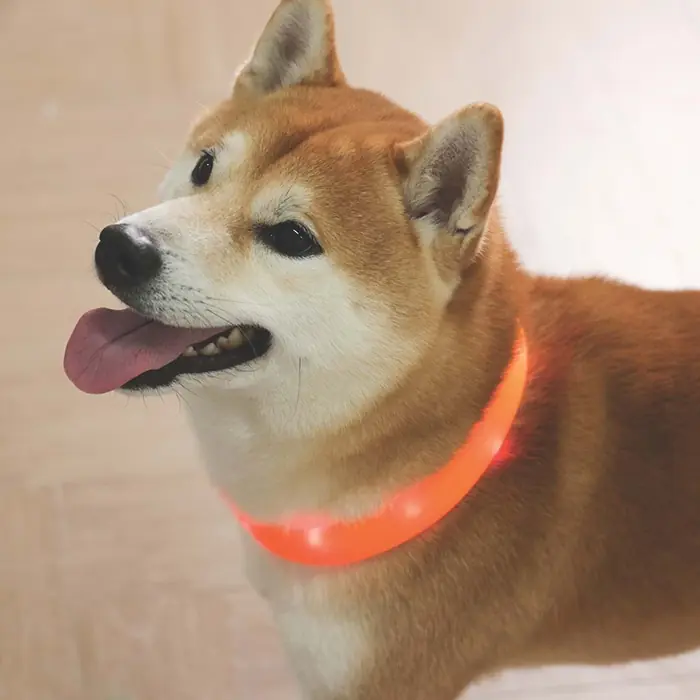 M-Pets Flash Led Köpek Boyun Tasması Medium 65cm