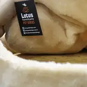 Lotus Pet Riga Yataklı Kedi Tırmalama 4