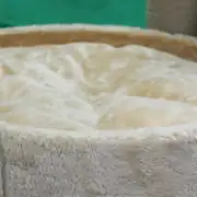 Lotus Pet Riga Yataklı Kedi Tırmalama 2