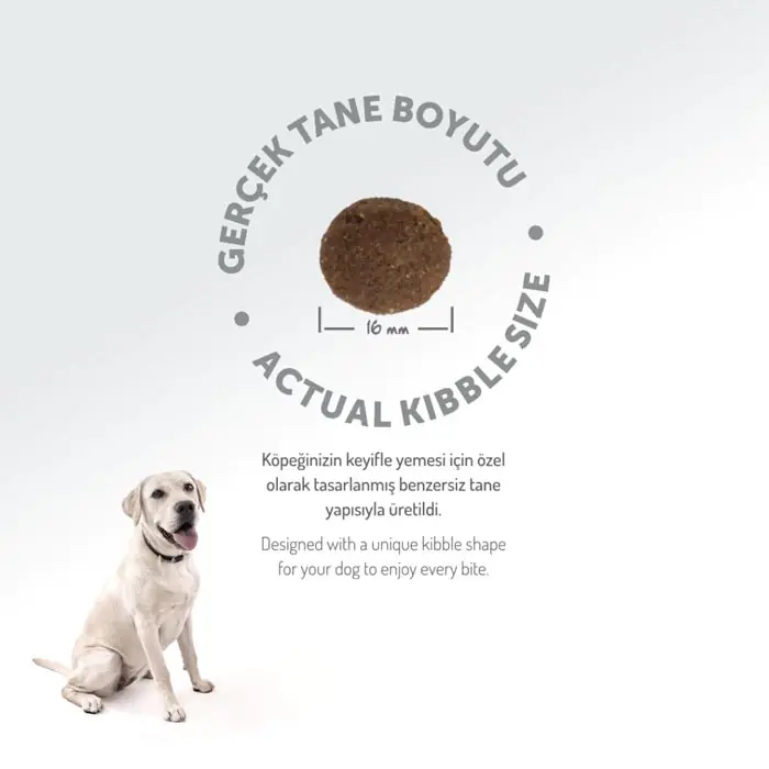 Felicia Az Tahıllı Yetişkin Somonlu Medium Large Breed HypoAllergenic Köpek Maması 15 Kg