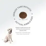 Felicia Az Tahıllı Yetişkin Somonlu Medium Large Breed HypoAllergenic Köpek Maması 15 Kg 8