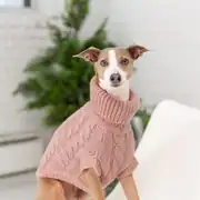 GF PET Chalet Köpek Süveteri 2