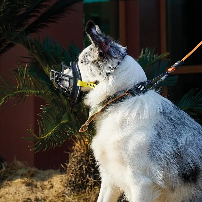 M-Pets Bark Guard Köpek Ağızlığı XLarge Siyah