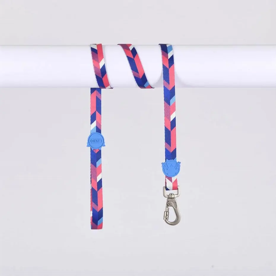 Lindo Pink Dream Gezdirme Tasması Small 15mm-120cm