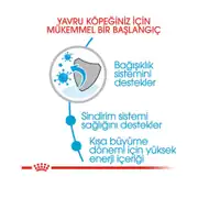 Royal Canin Medium Puppy Orta Irk Yavru Köpek Maması 15 Kg 4