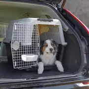 Ferplast Atlas 50 Professional Köpek Taşıma Kafesi 10