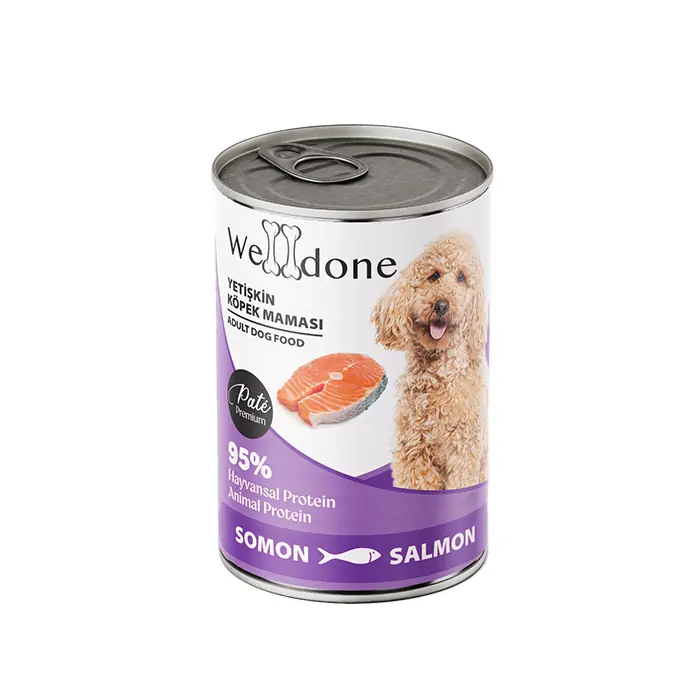 Welldone Somonlu Yetişkin Köpek Konservesi 400gr