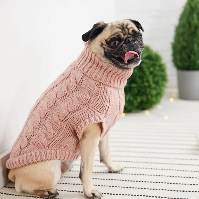GF PET Chalet Köpek Süveteri
