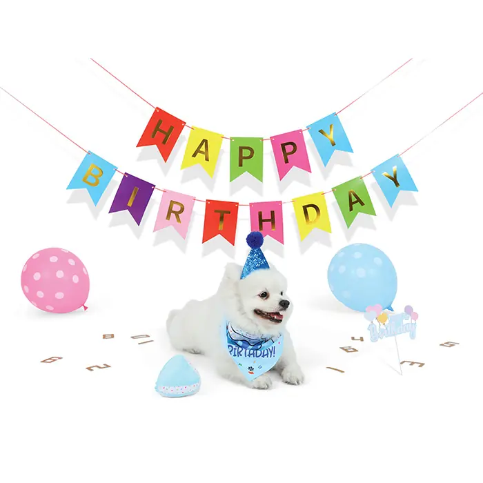 M-PETS Party Time Erkek Köpekler İçin Doğum Günü Seti