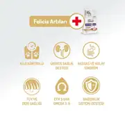 Felicia Kolajenli Somonlu Az Tahıllı Kısırlaştırılmış Hypoallergenic Kedi Maması 5 Kg 2