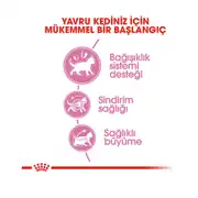 Royal Canin Kitten Yavru Kedi Maması 4 Kg 4