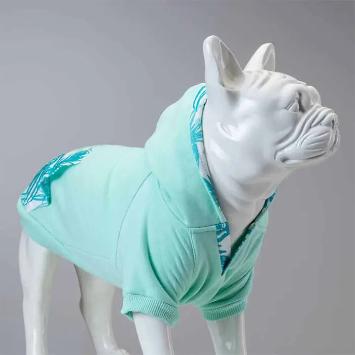 Lindo Mint Green Köpek Sweatshirt