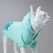 Lindo Mint Green Köpek Sweatshirt 1