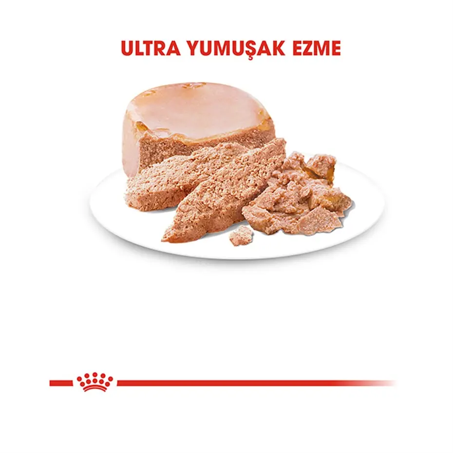 Royal Canin Starter Mousse Anne ve Yavruları İçin Köpek Konservesi 195 Gr