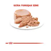Royal Canin Starter Mousse Anne ve Yavruları İçin Köpek Konservesi 195 Gr 2