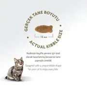 Felicia Kolajenli Somonlu Az Tahıllı Hypoallergenic Yetişkin Kedi Maması 5 Kg 7