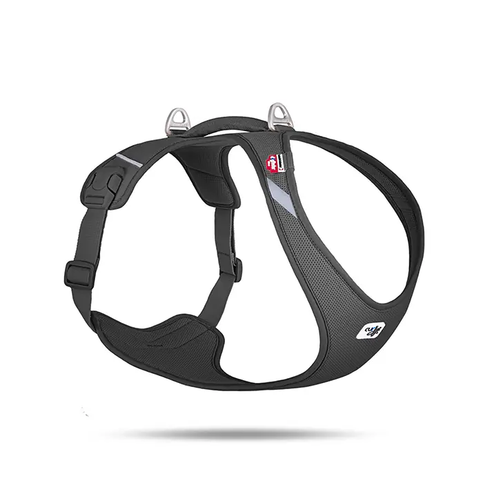 Curli Belka Harness Air-Mesh Köpek Göğüs Tasması Black XLarge