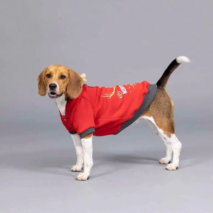 Lindo Club North Deer Küçük ve Orta Irk Köpek Kırmızı Sweatshirt