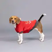 Lindo Club North Deer Küçük ve Orta Irk Köpek Kırmızı Sweatshirt 3