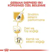 Royal Canin German Shepherd Yetişkin Köpek Maması 11 Kg 4