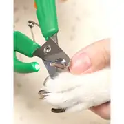 Pakeway Kaktüs Serisi Led Lambalı Köpek Tırnak Makası Yeşil 5
