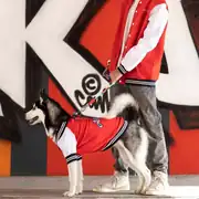 Lindo College AllStar Küçük, Orta ve Büyük Irk Köpek Sweatshirt 3