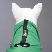 Lindo Quattro Nebula Köpek Yağmurluğu 3