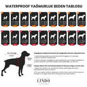 Lindo Crunch Kapüşonlu Köpek Yağmurluğu 4