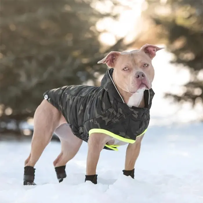 GF Pet Kamuflaj Köpek Montu