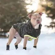 GF Pet Kamuflaj Köpek Montu 4