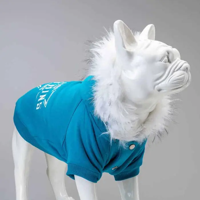 Lindo Mountains Küçük ve Orta Irk Köpek Sweatshirt