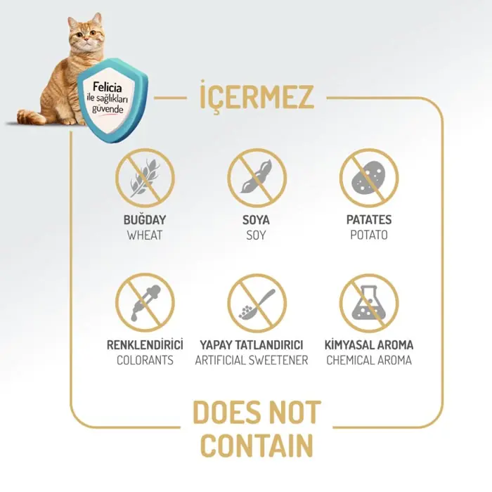 Felicia Az Tahıllı Kuzu Etli HypoAllergenic Anne ve Yavru Kedi Maması 12 Kg