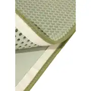 M-PETS Duplex Elekli Kedi Kumu Paspası Yeşil 45x65cm 2