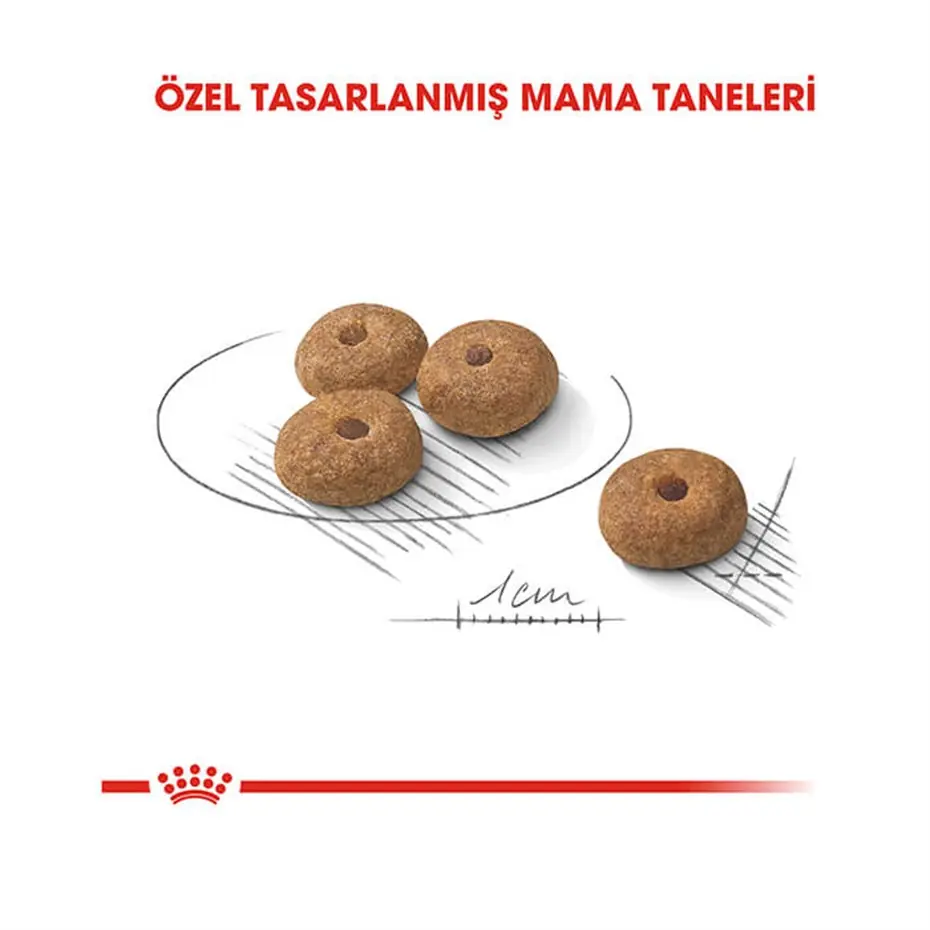 Royal Canin Ccn Mini Sterilised Yetişkin Köpek Maması 3 Kg