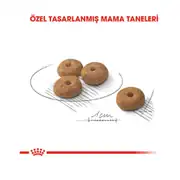 Royal Canin Ccn Mini Sterilised Yetişkin Köpek Maması 3 Kg 2