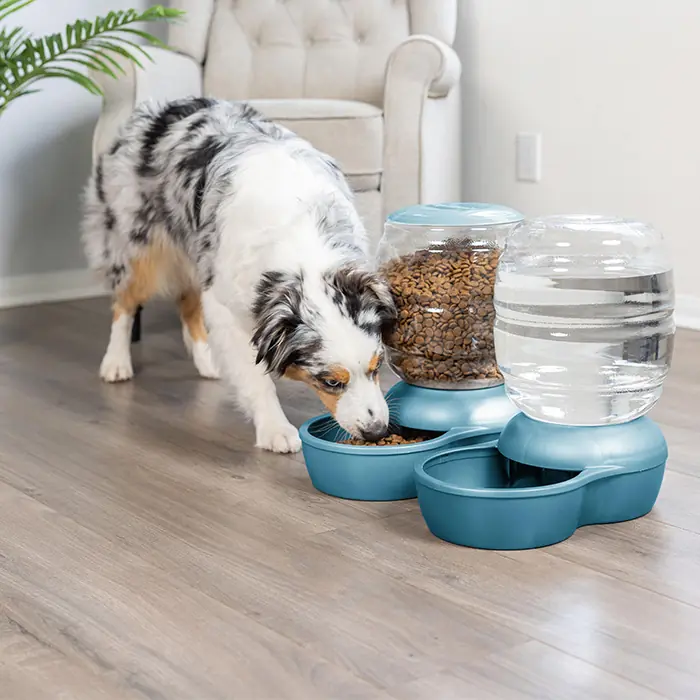 Petmate Replendish Hazneli Kedi Köpek Su Kabı Pearl Blue 3,8 lt