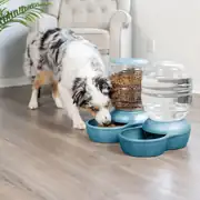 Petmate Replendish Hazneli Kedi Köpek Su Kabı Pearl Blue 3,8 lt 2
