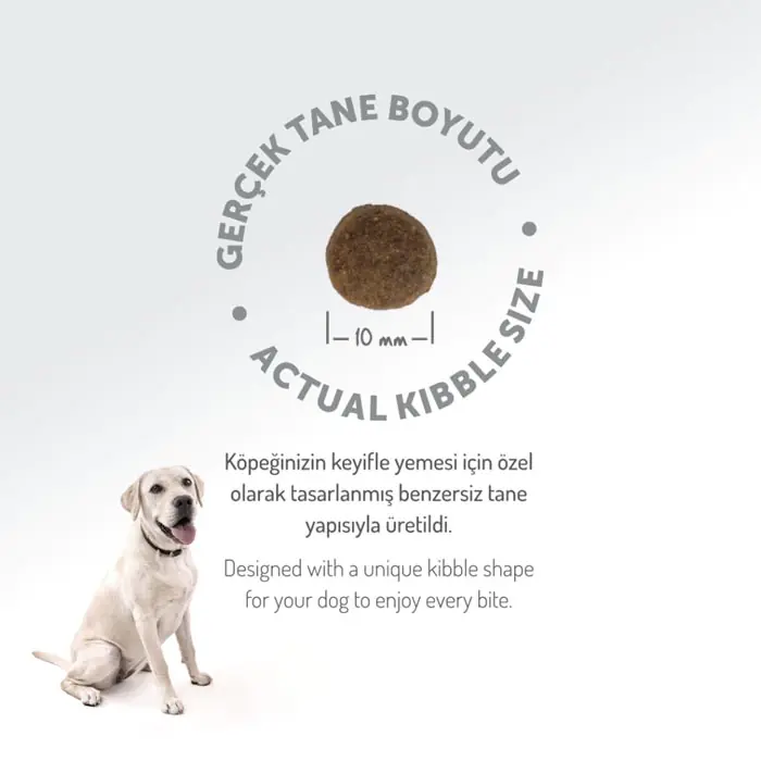 Felicia Az Tahıllı Yetişkin Somonlu Small HypoAllergenic Köpek Maması 3 Kg
