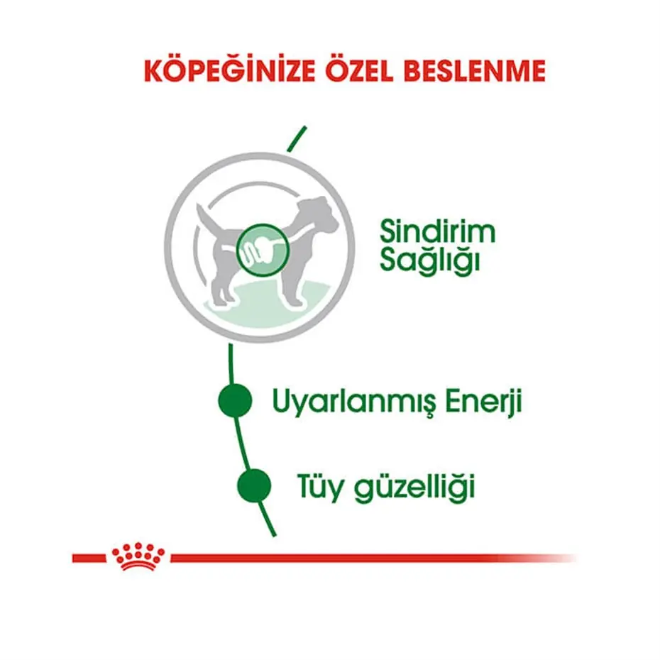 Royal Canin Pouch Mini Adult Köpek Yaş Maması 85 Gr