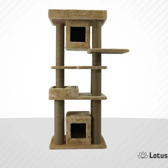 Lotus Brüksel Bal Rengi Kedi Tırmalama