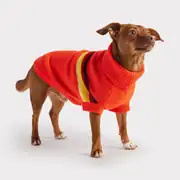 GF PET Retro Köpek Süveteri 3