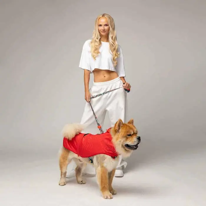 Lindo Softshell Red Stripe Küçük,Orta ve Büyük Irk Köpek Yağmurluğu