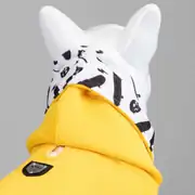 Lindo Freedom Köpek Sweatshirt 3