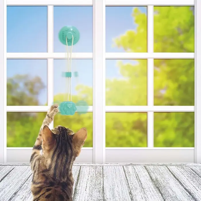 M-Pets Tampo Catnipli Ödül Hazneli Kedi Oyuncağı