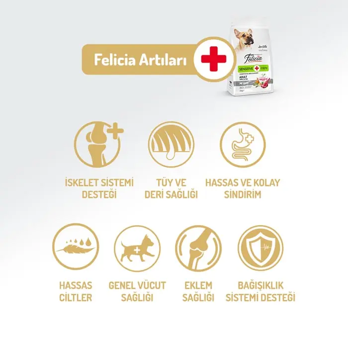 Felicia HypoAllergenic Kuzulu Pirinçli Küçük Irk Düşük Tahıllı Yetişkin Köpek Maması 6 Kg