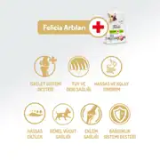 Felicia HypoAllergenic Kuzulu Pirinçli Küçük Irk Düşük Tahıllı Yetişkin Köpek Maması 6 Kg 2